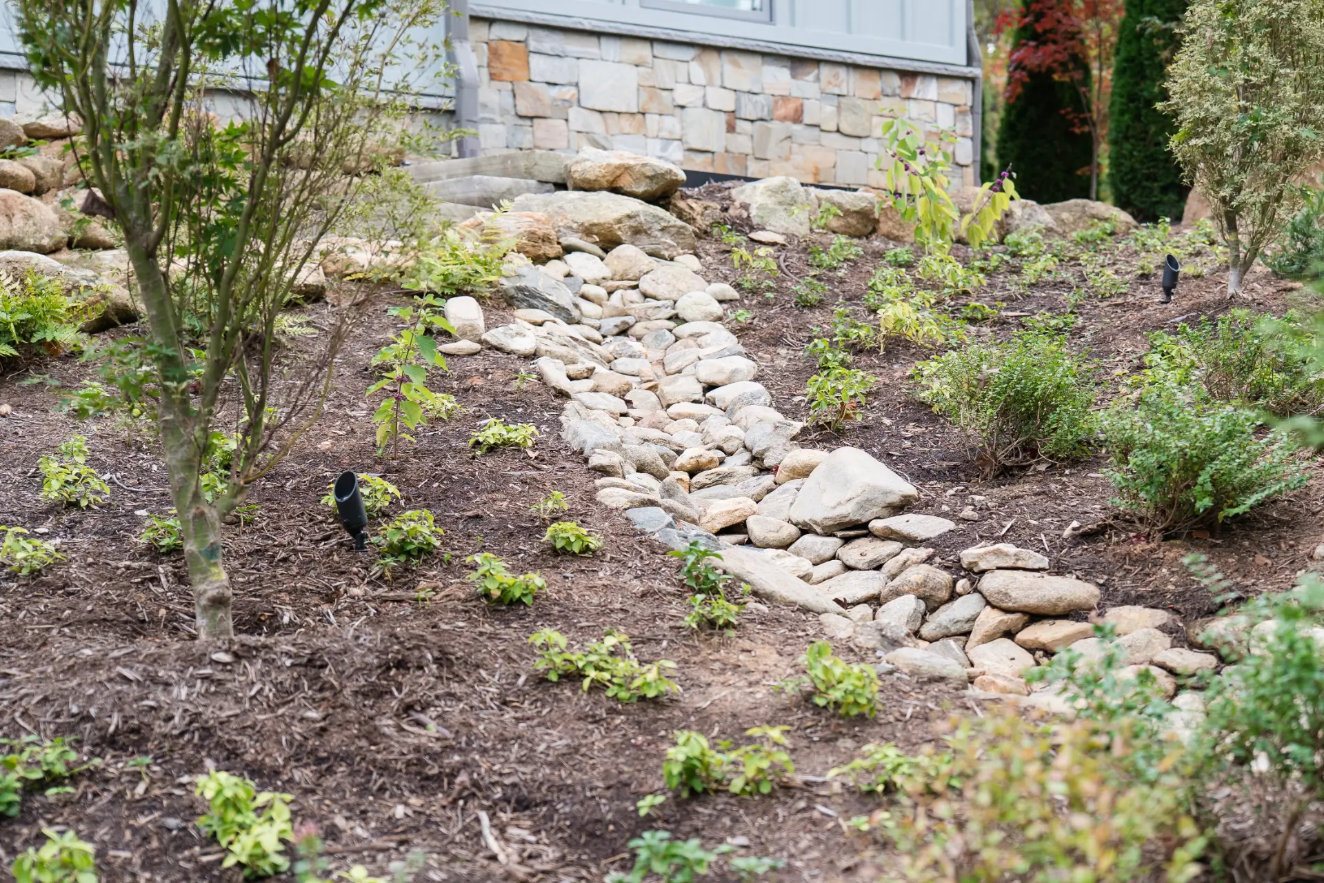 Red Elm Landscape Maintenance